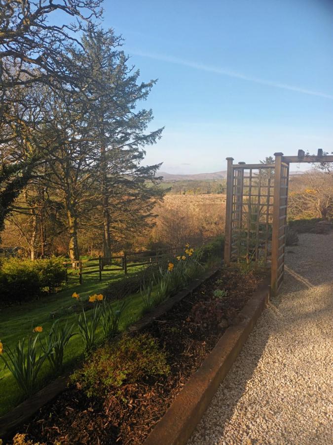 Holly Lodge Letterkenny Kültér fotó